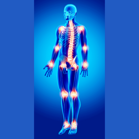 The Importance of Joint Support Supplements: Protecting Your Mobility and Comfort